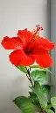 WhatsApp Image 2025-06-11 at 10.09.02_9958965b.webp