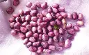 Jamun seeds.webp