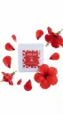 Hibiscus Dip Tea Pack of 8